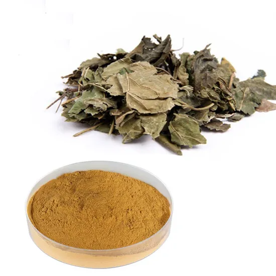 Hochwertiges Bio-Soja-Sojabohnen-Lecithin-Extrakt-Pulver. Sojabohnen-Extrakt-Pulver